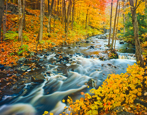 Green Mountain stream flowing through the hardwood forest of Vermont