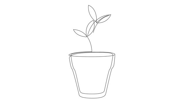 Self drawing animation of continuous single line draw potted plant. Animated one line beautiful decorate interior of house. Full length animation.