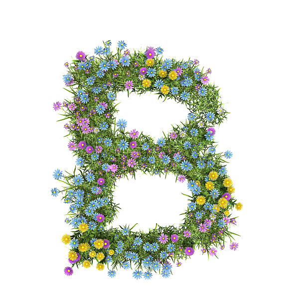 istock Letter B, flower alphabet isolated on white 148795829