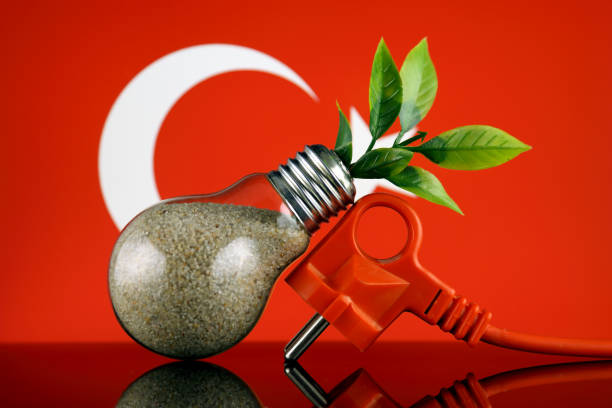 Cтоковое фото Вилка, растение, растущее внутри лампочка и флаг Турции. Зеленая экологическая концепция возобновляемых источников энергии.