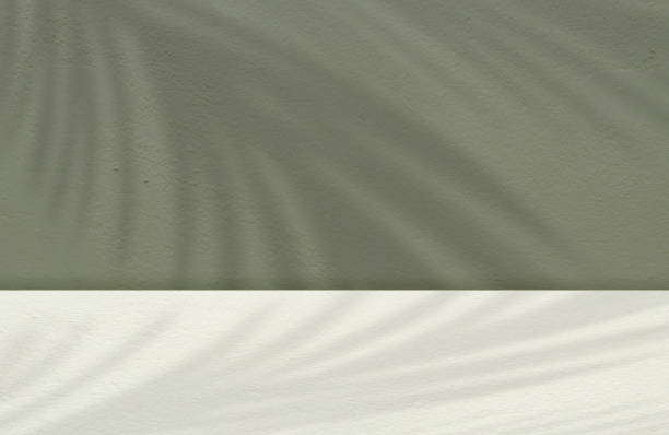 istock Concrete wall texture,Studio background with abstract coconut palm leaves shadow on green concrete wall background,Cement room background with leaves shadow overlay on rough surface 1487973527
