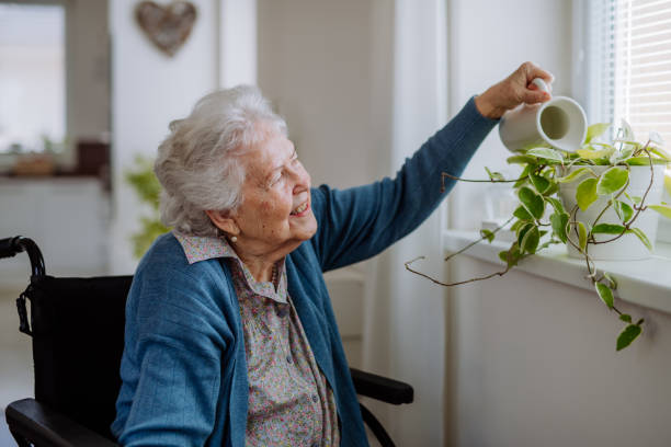 Une femme âgée arrose des fleurs dans son appartement. - Photo