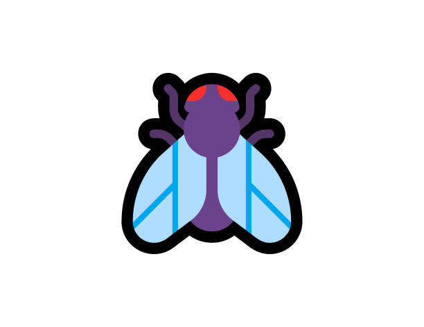 illustrations, cliparts, dessins animés et icônes de icône de vecteur insecte mouche. illustration d’emoji de mouche. émoticône vectorielle mouche domestique isolée - fly housefly ugliness unhygienic