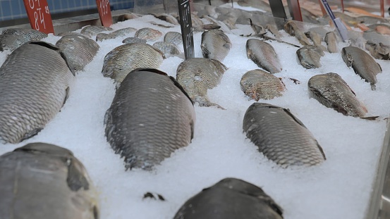 Counter with fish on ice. River fish lies on the ice. ruble market.