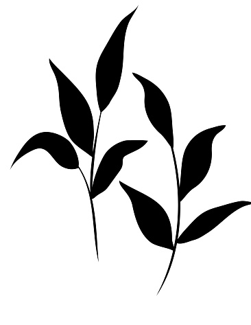 Plant On A Transparent Background