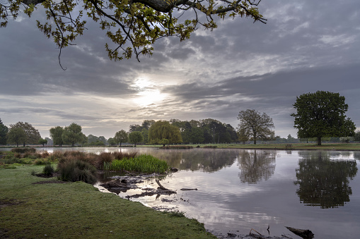 Sun breaking through the stormy sky at Bushy Park Surrey on a late spring early morning