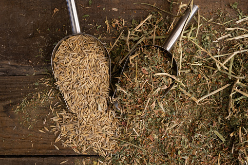 Shovel spoons with forage ingredients, and balanced for horses