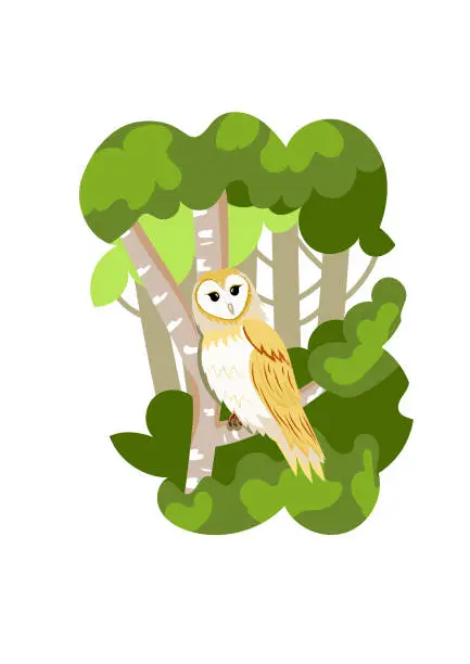 Vector illustration of The owl in the  forest