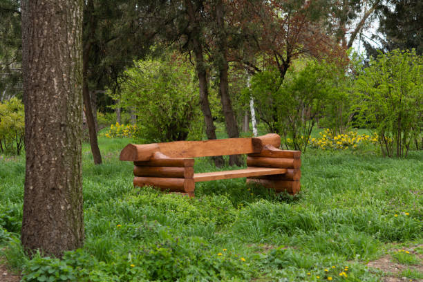 istock Wooden bench in the park in spring 1487983367