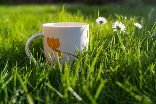 This image shows a coffee cup on green grass, with the sun shining and blades of grass in the foreground and background. It creates a peaceful atmosphere, suitable for designs related to coffee, nature, relaxation, and lifestyle. It can be used in both print and web media.