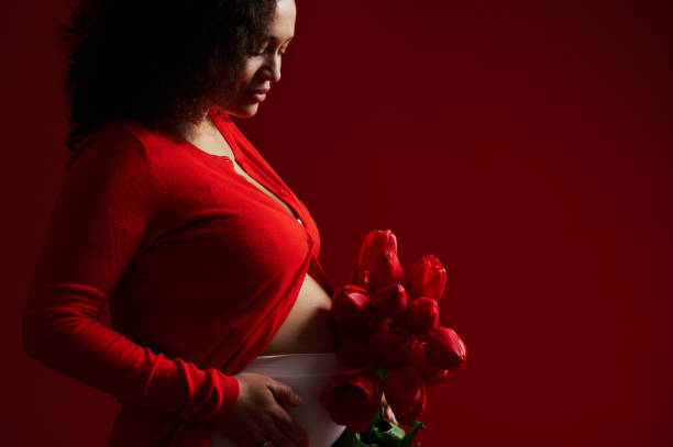ausgeschnittene ansicht einer schwangeren frau, werdende mutter, die ihren bauch berührt, posiert mit roten tulpen, isoliert auf rotem hintergrund - mothers day mother single flower family stock-fotos und bilder