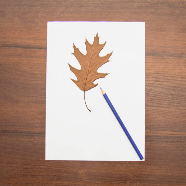 istock A beautiful pencil lies on a magical background 1487990307