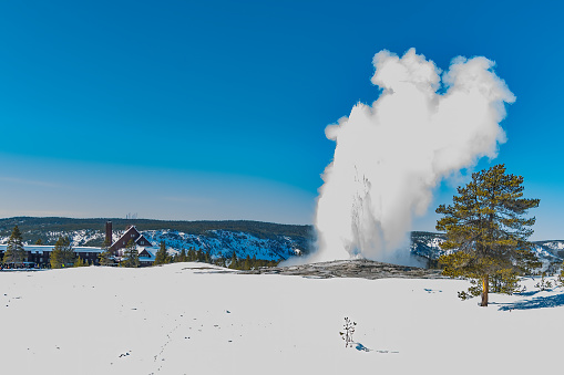 Old Faithful geyser erupting in February with Old Faithful Inn in the background in the Yellowstone Ecosystem in western USA. Nearest cities are Denver, Colorado, Salt Lake City, Jackson, Wyoming, Gardiner, Cooke City, Bozeman, and Billings, Montana, USA, North America.