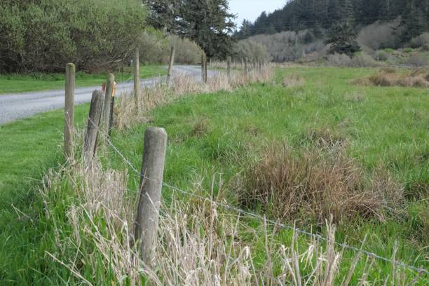 istock Rustic country fence line and dirt road 1487993781
