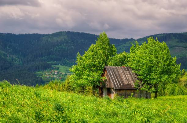 View of wooden hut on the glade among the trees, Beskids mountains, Poland.