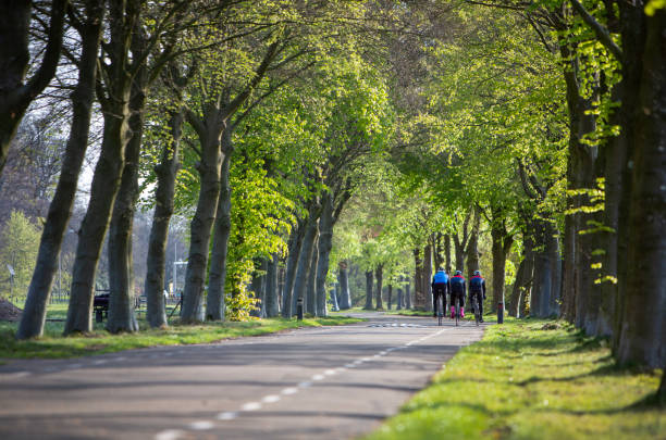 Family goes by bike through the autumn park