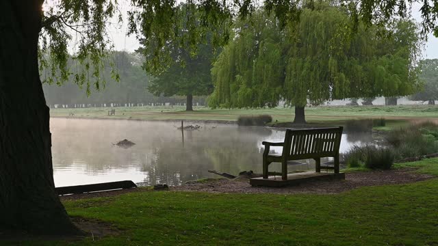 Park bench next to misty pond early spring morning