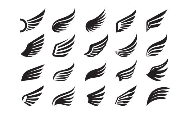 翼のアイコン。天使の鳥の鷲の羽と羽のエンブレム、シンプルな鷹のシルエットの紋章シンボル。最小限の鳩の自由ビンテージタトゥーベクター画像セット - 羽点のイラスト素材／クリップアート素材／マンガ素材／アイコン素材