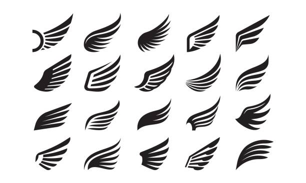 Wings icons. Angel bird eagle wing and feather emblem, simple hawk silhouette heraldic symbol. Minimal dove freedom vintage tattoo vector set Wings icons. Angel bird eagle wing and feather emblem, simple hawk silhouette heraldic symbol. Minimal dove freedom vintage tattoo vector set. Flying stylized elements, various logotypes feather vector illustration stock illustrations