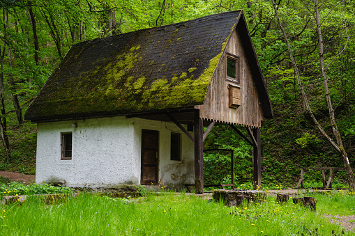 Public house in the forest