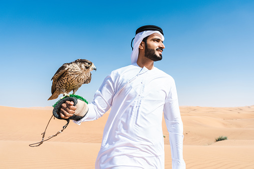 Middle-eastern man wearing traditional emirati arab kandura in the desert and holding a falcon bird - Arabian muslim adult person at the sand dunes in Dubai