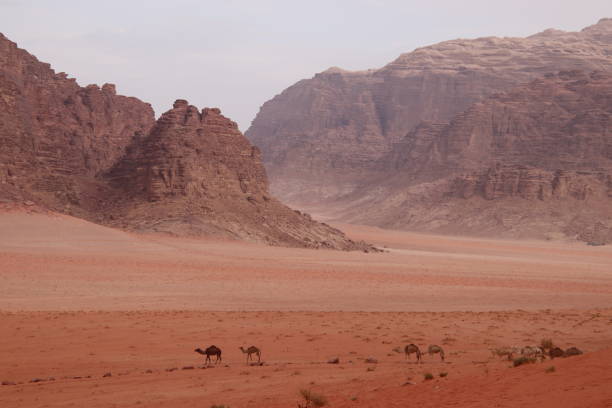 istock Desert of Wadi Rum 1488005373