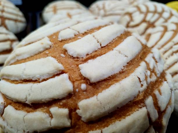 istock Conchas classic sweet bread of Mexico, pan dulce concha 1488005497