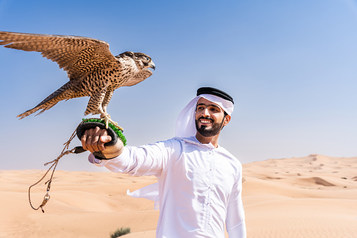 Middle-eastern man wearing traditional emirati arab kandura in the desert and holding a falcon bird - Arabian muslim adult person at the sand dunes in Dubai