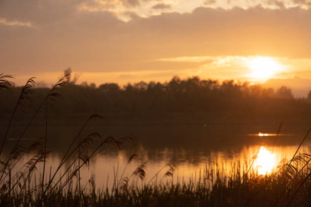 istock Sunset over the lake, golden hour 1488014538
