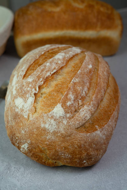 Artisanal White Rustic Bread: A Crusty Oval and Rectangle Loaf
