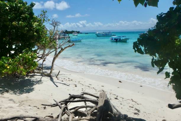 istock Beach and small boat dock, Cayo Levantado 1488019269