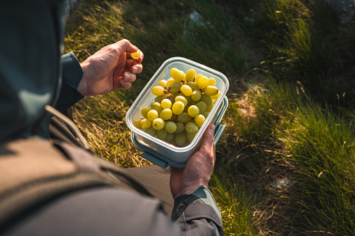 Close up on hands of a Caucasian male holding a reusable plastic box full of grapes while hiking.