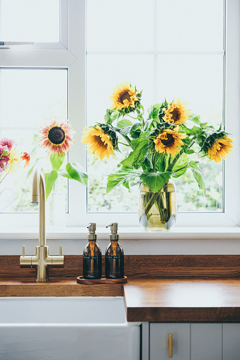 Freshly cut sunflowers in vases on home window sill
