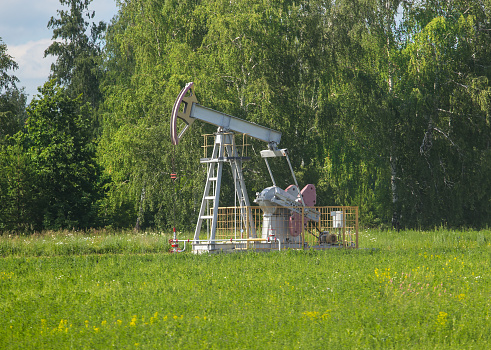 Oil pump on the field against the background of the forest