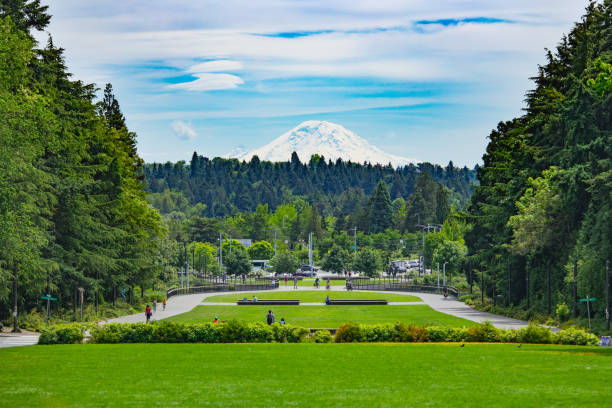 mount rainier  from University of Washington