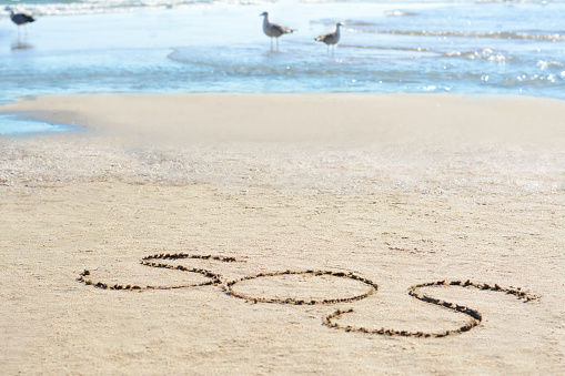 SOS message written on sand near sea