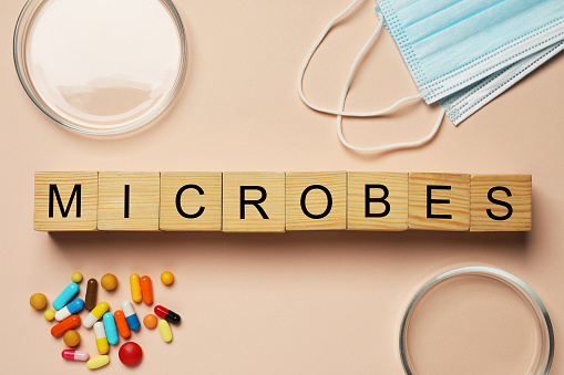 Word Microbes made with wooden cubes, colorful pills, Petri dishes and face masks on beige background, flat lay