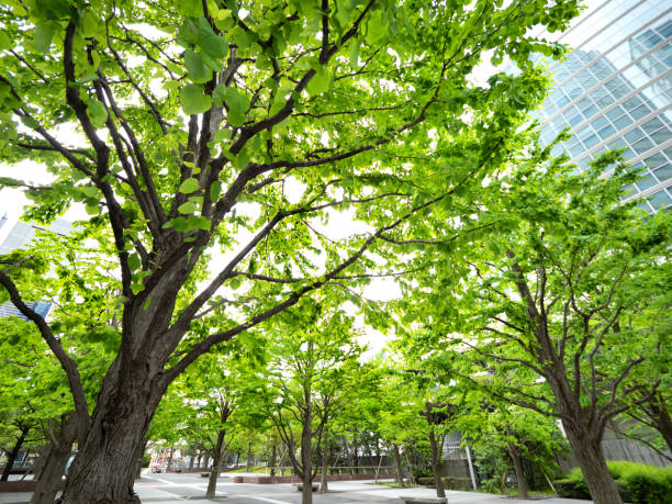 Fresh green of office buildings