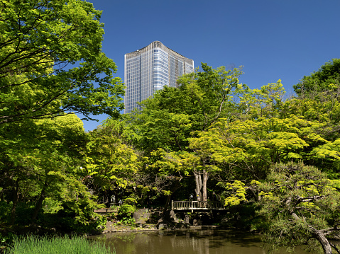Hibiya Park and Tokyo Midtown Hibiya, Tokyo