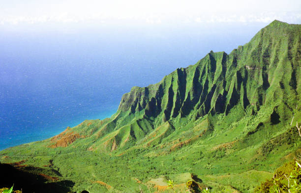 istock Honopu Ridge Valley in Kauai 1488046501