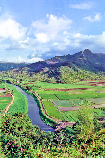 A vintage film photograph of Wailua river from the Hanalei lookout across the rural farmland valley below on Kauai, Hawaii.