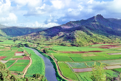 A vintage film photograph of Hanalei Lookout and the rural farmland valley below on Kauai, Hawaii.