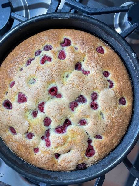 istock Raspberry snack cake right out of the oven 1488049481
