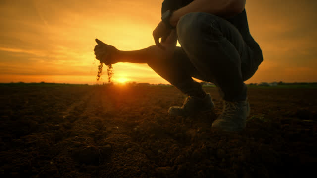Close-up of Farmer Examining Soil for Optimal Crop Growth at Sunset