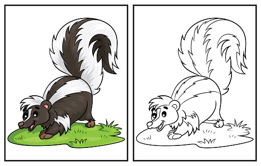 Coloring book cute skunk. Coloring page and colorful clipart character. Vector cartoon illustration.
