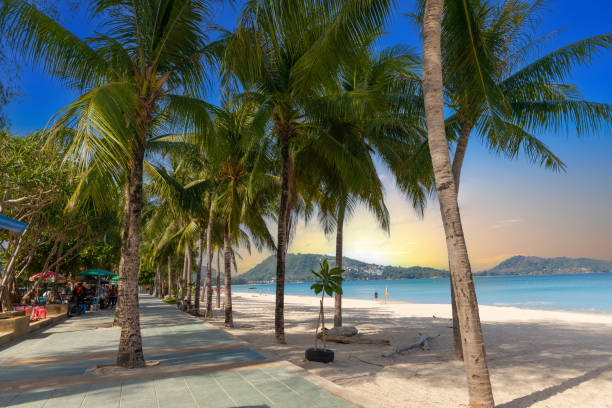 patong beach phuket thailand schöner weißer sandstrand klares blaues und türkisfarbenes wasser und schöner blauer himmel mit palmen bei sonnenuntergang sonnenaufgang - strand patong stock-fotos und bilder