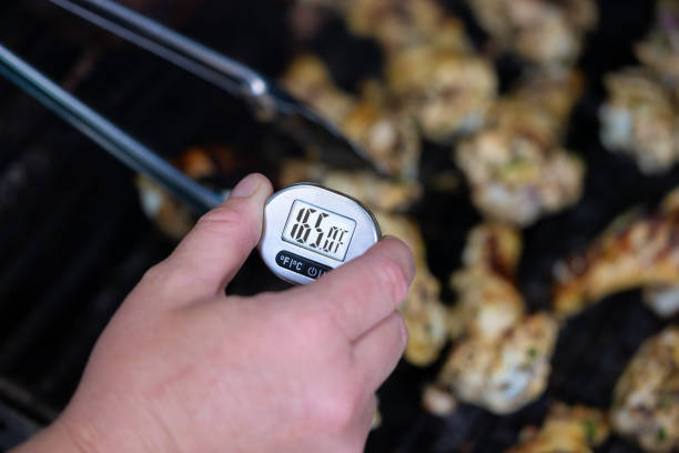 istock Checking the temperature of cooked meat 1488052464