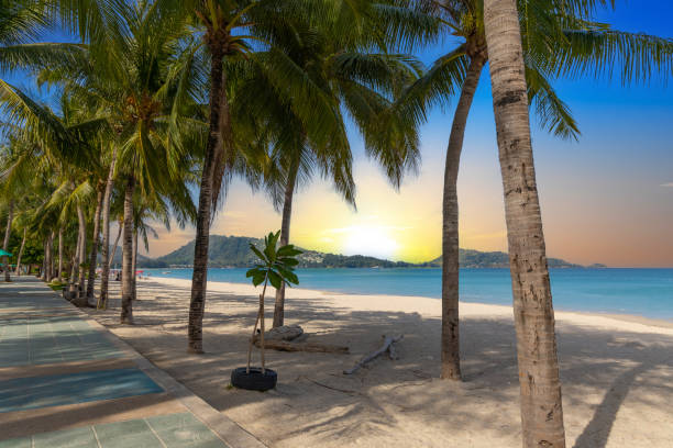 istock Patong Beach Phuket Thailand nice white sandy beach clear blue and turquoise waters and lovely blue skies with Palms tree sunset sunrise 1488052531