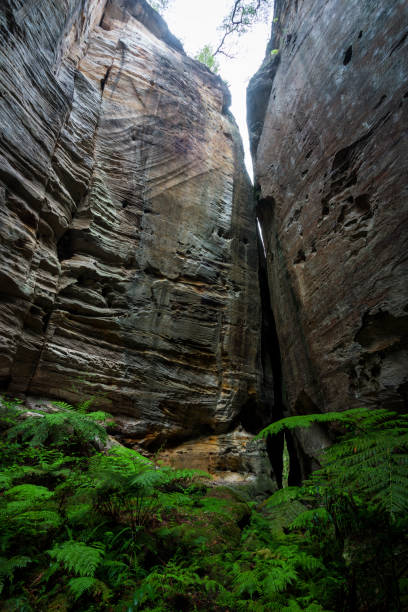 istock Carnarvon Gorge The Amphitheatre 1488055121