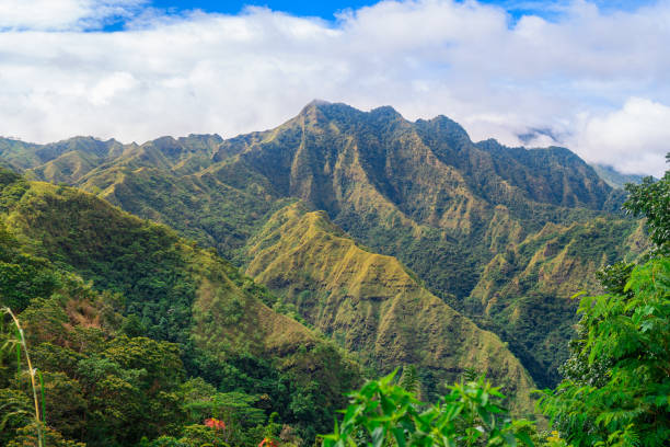 istock panoramic view of flores island, indonesia 1488064628